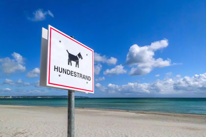 Hundestrände an der Ostsee