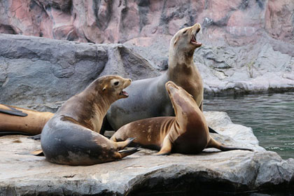 Zoos an der Ostsee