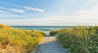 Dänemarks Ostseeküste: Die schönsten Strände und Küstenorte für einen Urlaub