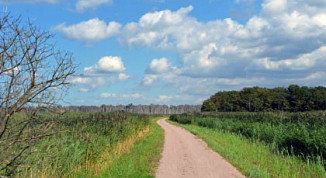 Wanderroute zwischen Markgrafenheide und Rosenort