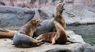 Zoos an der Ostsee